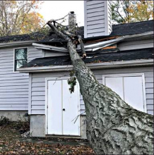 Storm Topples Trees, Damages Houses, Causes Power Outages