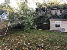 Storm Topples Trees, Damages Houses, Causes Power Outages