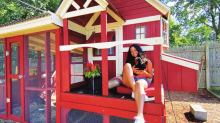“Cooped Up” During the Quarantine, Family Creates a Home for Chickens