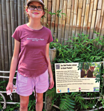 Silver Projects Include Signage for Zoo, Wheelchair Garden