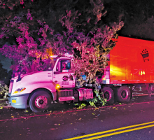 Fire Department Responds When Truck Gets Stuck in Tree